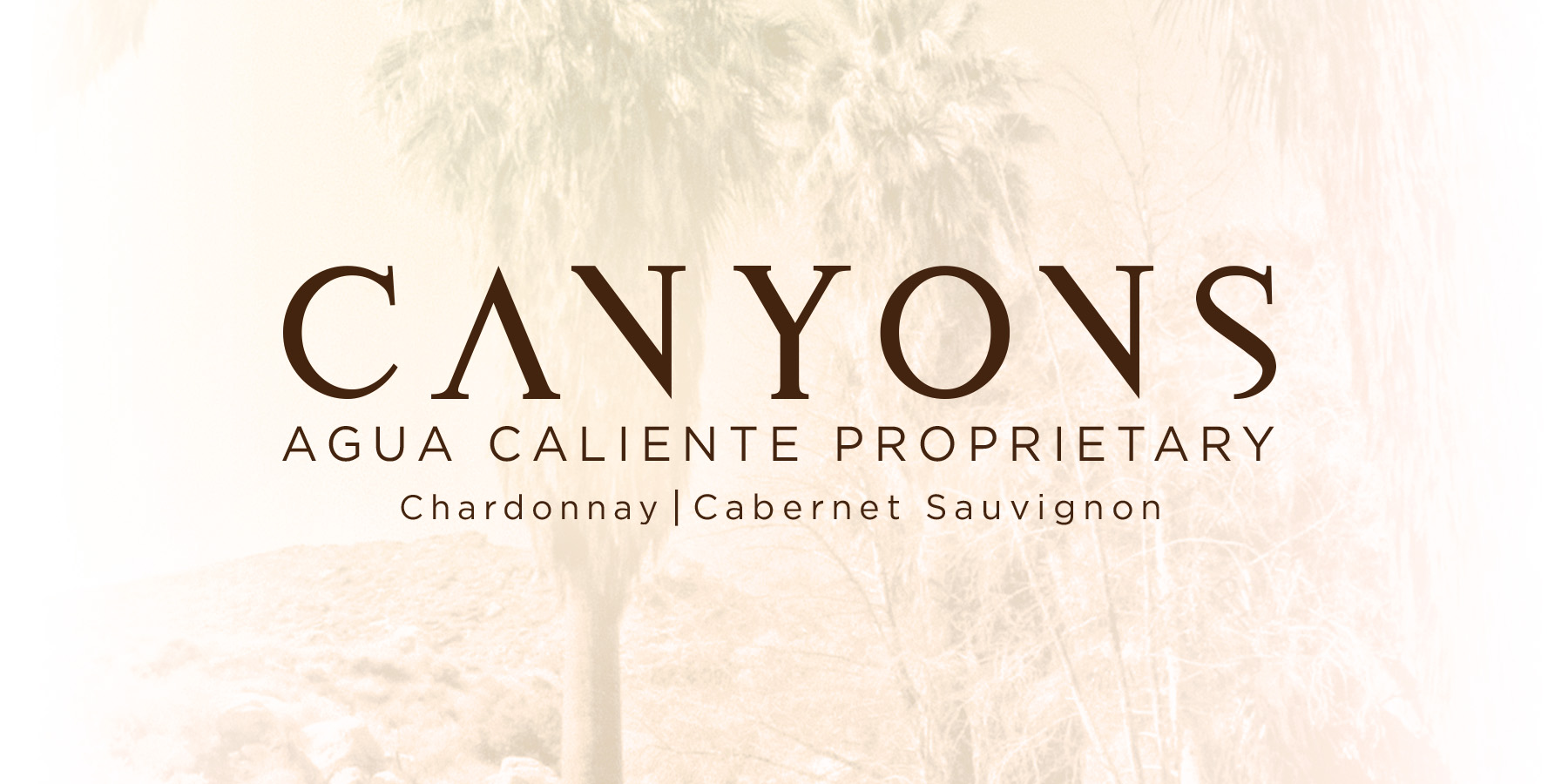 Canyons Wine